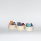 Succulent Soaps