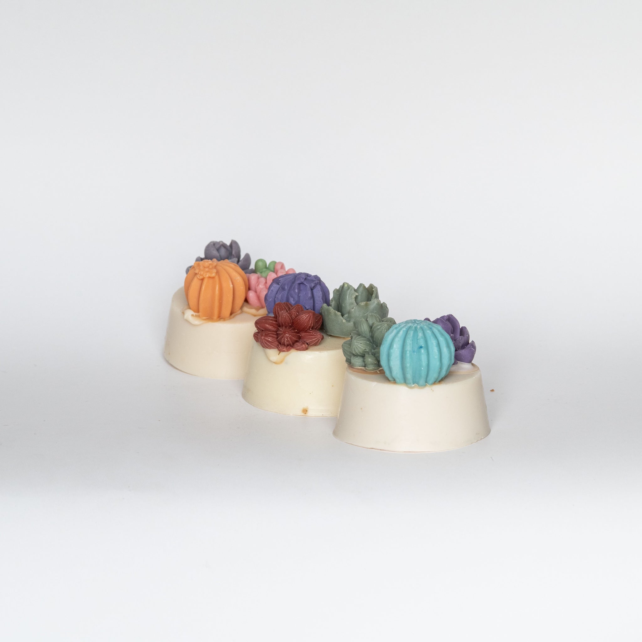 Succulent Soaps