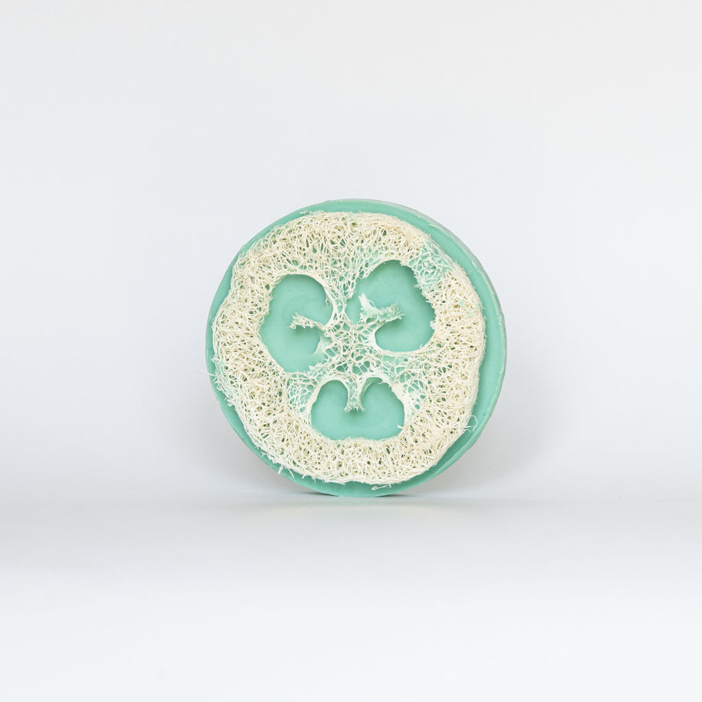 loofah-soap-teal