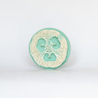 loofah-soap-teal