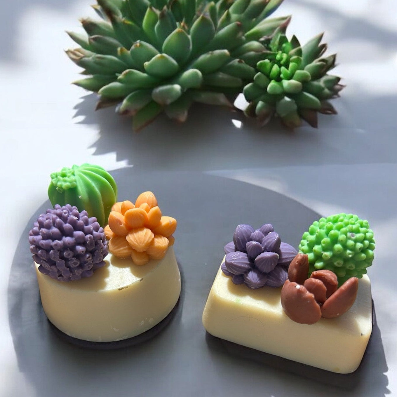 Succulent Soaps